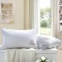 Hotel feather velvet pillows, washable white anti feather fabric, single person three-dimensional pillows, manufacturer direct sales, wholesale, group purchase