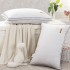 Hotel bedding, pure cotton compression pillow, pure cotton anti feather cloth, feather silk cotton soft pillow, pillow core, pillow wholesale