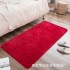Cross border plush thick carpet floor mat, simple bedside carpet, anti slip mat, bedroom living room bay window, absorbent foot mat, door mat