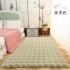 Cross border Amazon cream style plush carpet, bubble velvet floor mat, bedside blanket, living room bay window mat, blanket, coffee table mat
