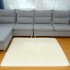 Manufacturer wholesale cross-border thickened PV velvet wool long hair carpet living room coffee table bedroom bedside ins floor mat carpet