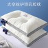 Deep Sleep Space Capsule Latex Pillow Adult Care Neck Neck Gift Group Purchase Home Homestay Hotel Pillow Core Wholesale