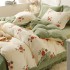 Thickened winter milk velvet four piece bed cover, bed sheet set, small and fresh Nantong home textile bedding