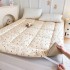 A-class Xinjiang cotton mattress, tatami bed mattress, single and double person bedding, thick mattress for college student dormitories wholesale A-class Xinjiang cotton mattress, tatami bed mattress, single and double person bedding, thick mattress for college student dormitories wholesale