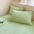 Winter Thick Milk Velvet Bed Sheet Single Item Warm Coral Velvet Bed Sheet Single Item Nantong Single Color Bed Sheet Wholesale