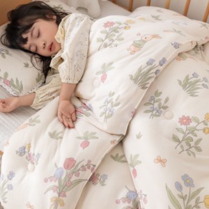 Children's Spring and Autumn Baby Kindergarten Nap Special Small Quilt, Thickened and Warm in Autumn and Winter, Class A Quilt Core