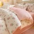 Winter Milk Velvet Four Piece Set Wholesale with Velvet Bed Three Piece Set Quilt Set Coral Velvet Bed Sheet Cover Flannel