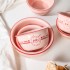 Ceramic Bowl 2024 New Dining Bowl Panda Pattern Rice Bowl Household Set High Beauty Japanese Tableware
