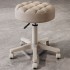 Beauty stool, specialized rotating lifting pulley for beauty salons, hair salon worker chair, nail art round stool, hair salon master stool