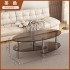 Oval shaped coffee table, light luxury tempered glass, creative home, small apartment, simple tea table, living room, modern table