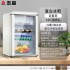 Zhigao Hotel Small Refrigerator Small Refrigerator Living Room Office Refrigerator Fresh Beverage Tea ins Retro Ice Bar