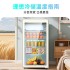 Zhigao Hotel Small Refrigerator Small Refrigerator Living Room Office Refrigerator Fresh Beverage Tea ins Retro Ice Bar