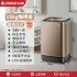 Zhigao washing machine, household pulsator washing machine, rental room washing machine, washing machine with washing function, fully automatic washing machine