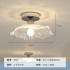 Balcony lights, ceiling lights, hallway lights, entrance lights, foyer lights, creative lights, lotus leaf lights, 2025 new model, super bright