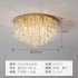 Crystal lamp, circular ceiling lamp, modern and simple master bedroom lamp, room lamp, LED living room large lamp, light luxury style