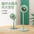 Circulating fan, air fan, shaking head, household floor fan, dormitory fan, convection fan, stand up air convection fan